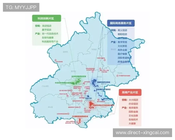 弗罗西诺内全新阵容揭秘攻防布局与未来潜力分析 弗罗西诺内全新阵容揭秘攻防布局与未来潜力分析